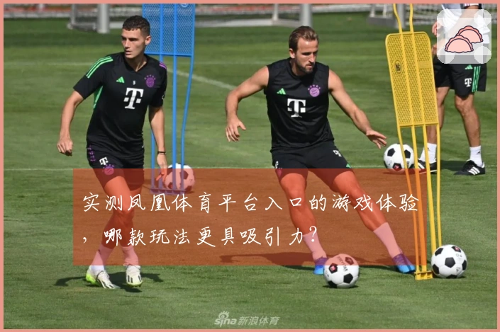 实测凤凰体育平台入口的游戏体验，哪款玩法更具吸引力？