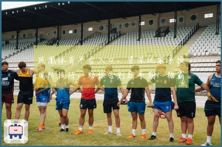 凤凰体育平台入口，资深玩家亲授高阶技巧，助你告别新手期，称霸游戏战场