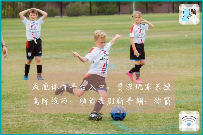 凤凰体育平台入口，资深玩家亲授高阶技巧，助你告别新手期，称霸游戏战场