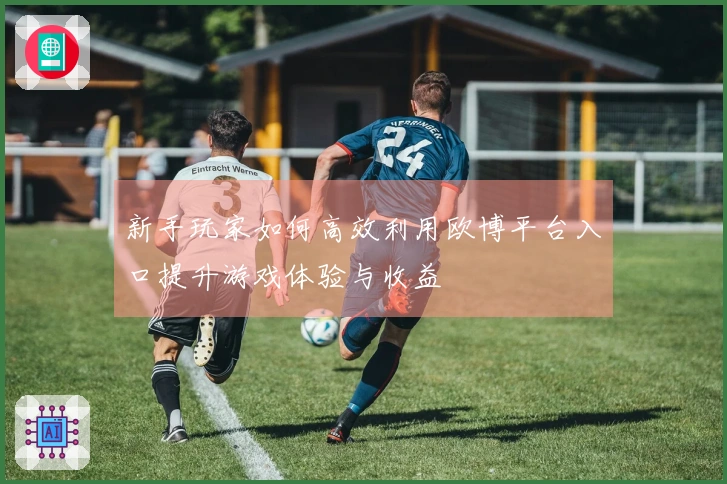 新手玩家如何高效利用欧博平台入口提升游戏体验与收益