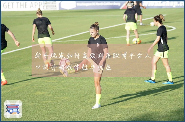 新手玩家如何高效利用欧博平台入口提升游戏体验与收益